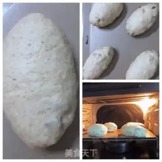 Make The cheese is oilless step 6