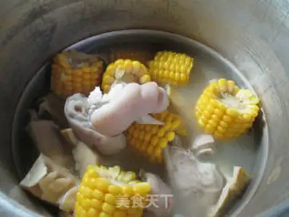 Make Corn-tailed pig hoof soup step 9