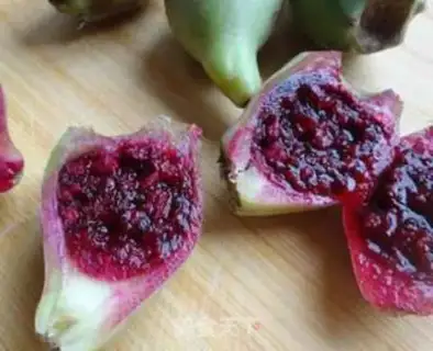 Make Cactus juice step 1