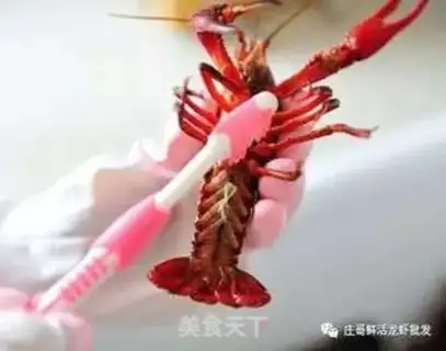Make Spicy lobster step 2