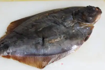 Make A hal of fresh fish step 0