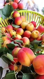 Make Apricot step 2