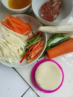 Make A dumpling burrito step 0