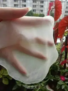 Make A dumpling burrito step 5