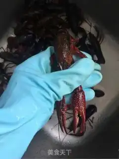 Make Family lobster step 1