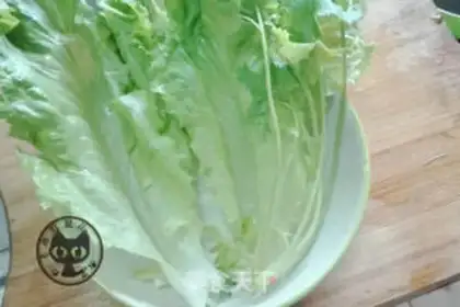 Make Spring rolls step 4