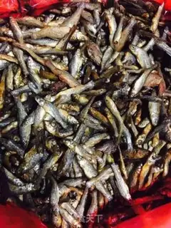 Make Fishy step 0