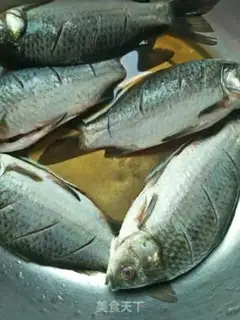 Make Creamfish step 0