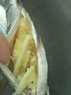 Make Creamfish step 3