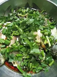 Make Creamfish step 7