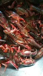 Make Garlic lobster step 0