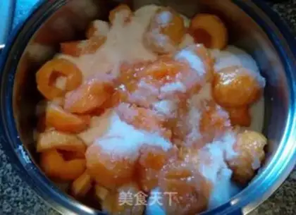 Make Apricot step 3
