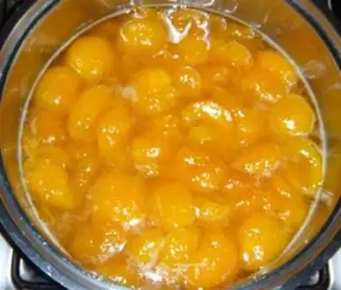 Make Apricot step 7