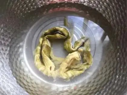 Make Squirty dry melon soup step 2