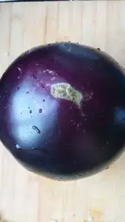 Make Roast eggplant step 0