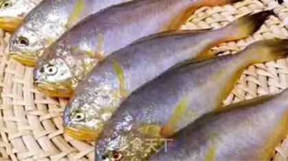 Make Plumfish step 0