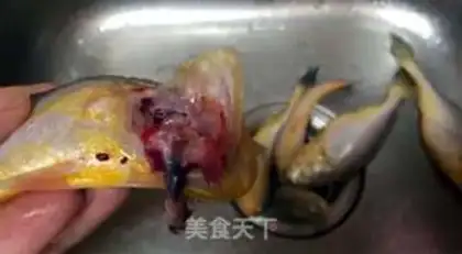 Make Plumfish step 1