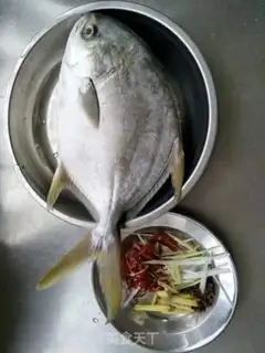Make Vacuated goldfish step 0