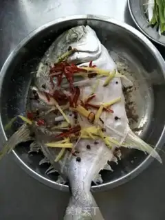 Make Vacuated goldfish step 5