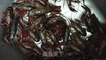 Make Shrimp step 0