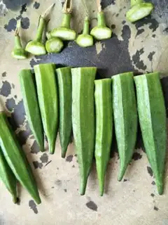 Make The white sunflower step 1