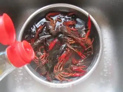 Make Vacuate the lobster step 0