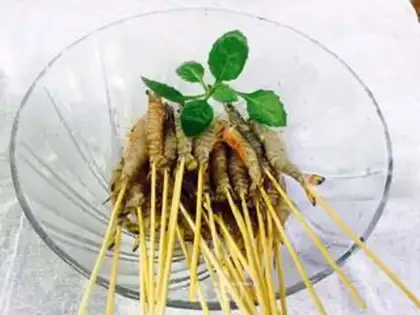 Make A string of shrimp step 1