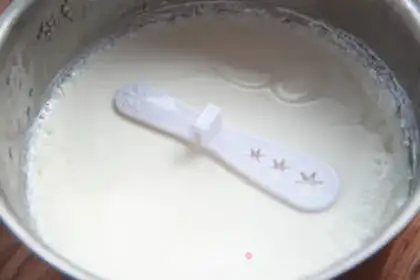 Make Mango yogurt step 0