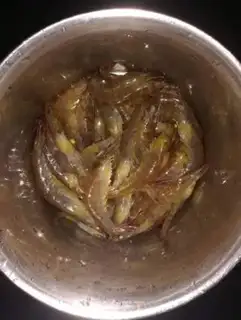 Make Salt shrimp step 1