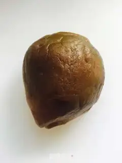 Make Pumpkin step 0