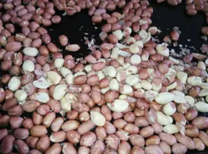 Make Bread machine peanuts step 1