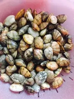 Make Spicy clams step 0