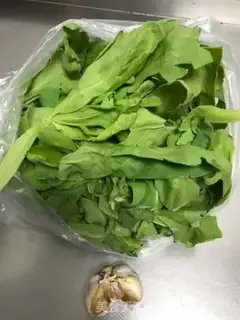 Make Garlic artery step 0