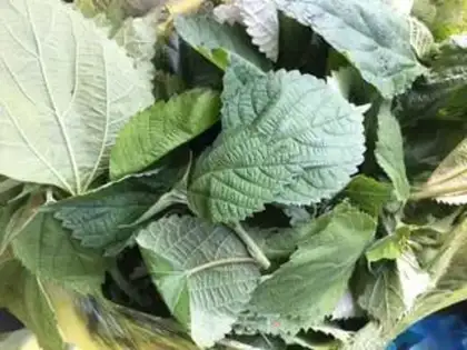 Make Pumpkin step 1