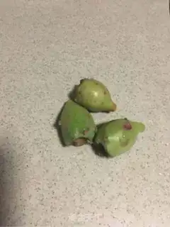Make Cactus step 0