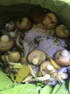 Make Herpes and mushrooms step 9