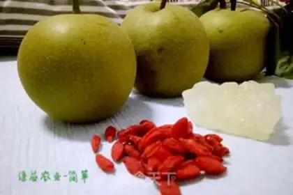 Make Pear juice step 0