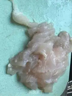 Make Red Fire Dragonfish step 4