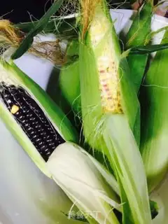 Make Piggy-bone corn soup step 0