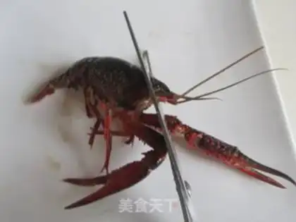 Make Crawfish step 3