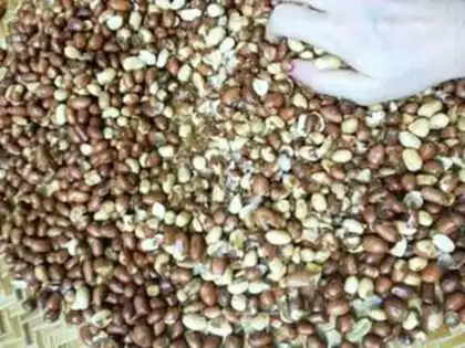 Make Salted peanuts step 9