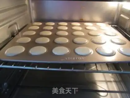 Make Apricot step 8