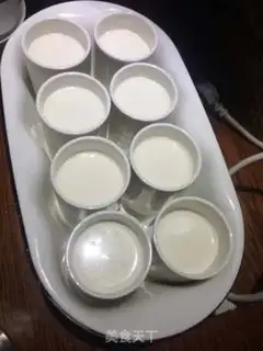 Make Yogurt step 2