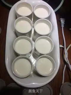 Make Yogurt step 4