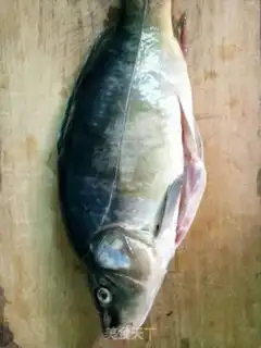 Make Red fish step 0