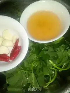Make Saline with red potato leaves step 0