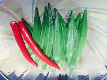 Make The white sunflower step 0