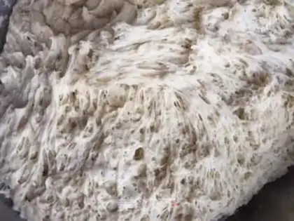 Make The cabbage bag step 0