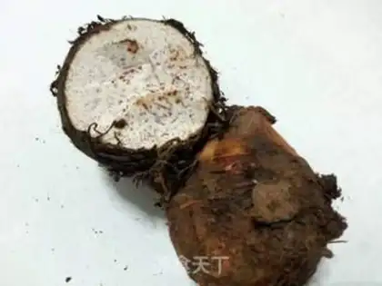 Make Potato chips step 0