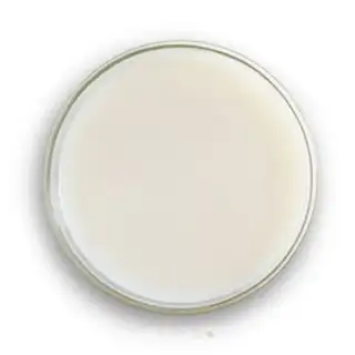 Make Silky eggs step 10